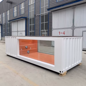 20ft Container Swimming Pool With Fiber Glass Window For Sale