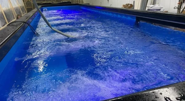 40 Ft Shipping Container Swimming Pools For Sale - Image 4